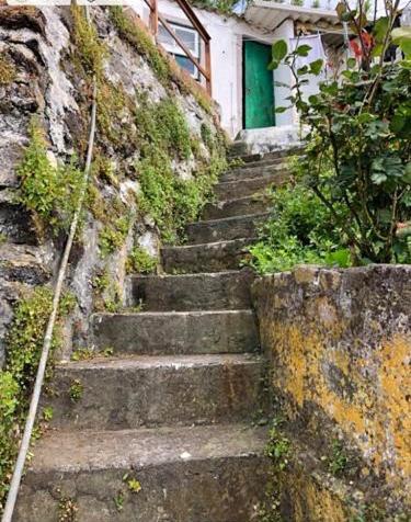 Relaxing House By The Beach - Casa Rosa Horta  Buitenkant foto